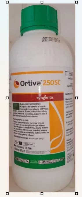 Ortiva 250 (Azoxtrobin) 1l