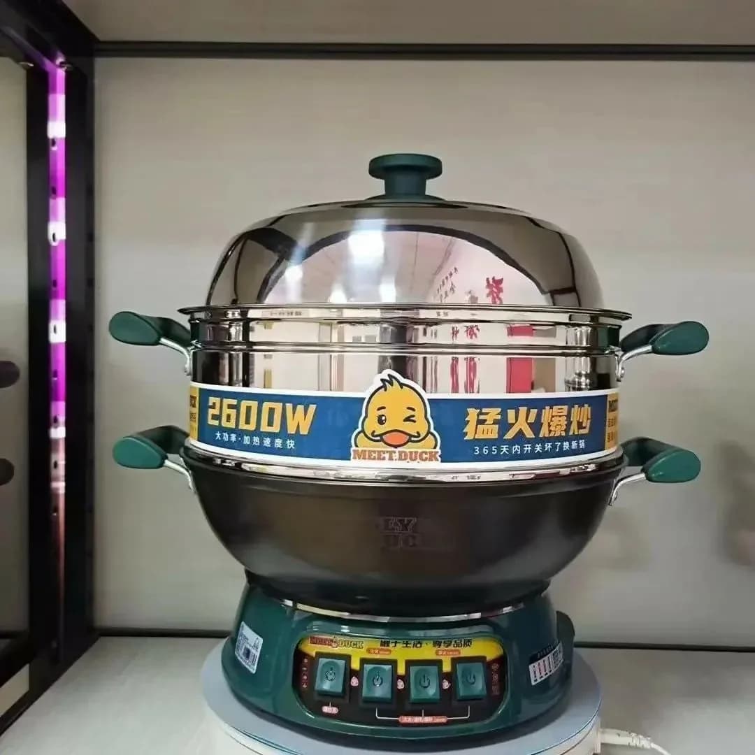 ELECTIC STEAM POT
