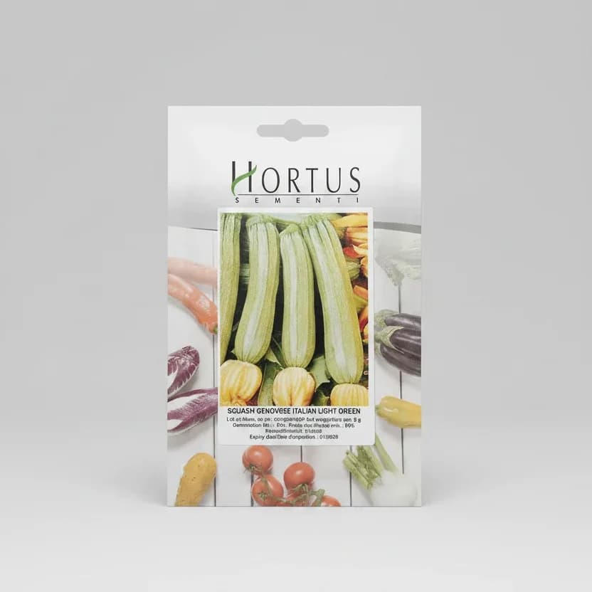 Squash Genovese Italian Light Green 5g