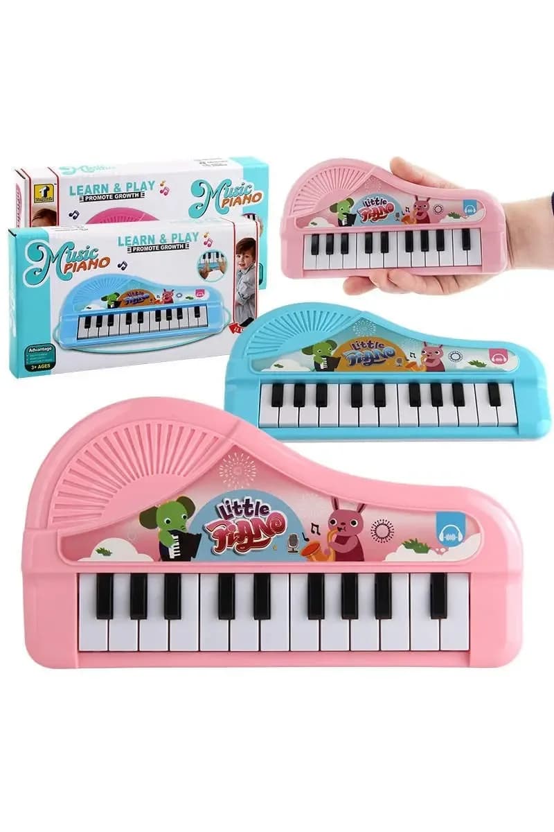 Small Electronic Organ Piano