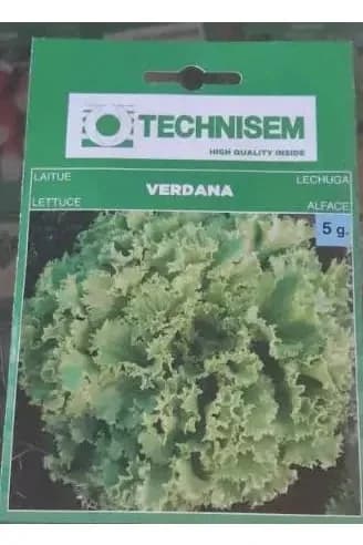 LETTUCE SEEDS 5g/umurama wa reti