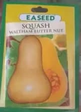 SQUASH WALTHAM BUTTER NUT SEEDS 50g