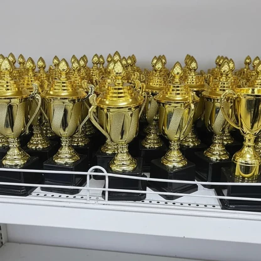 Gold Cup Trophy with Lid /1pc