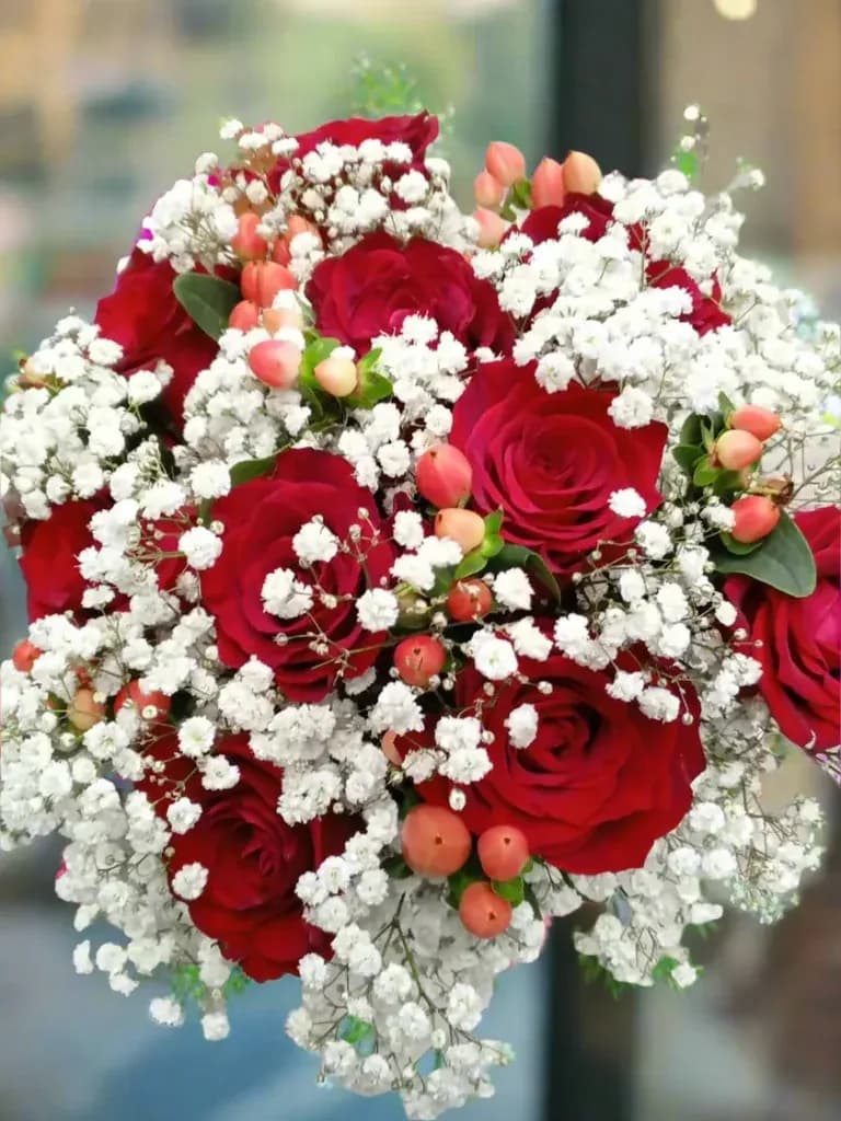 Classic Red Rose