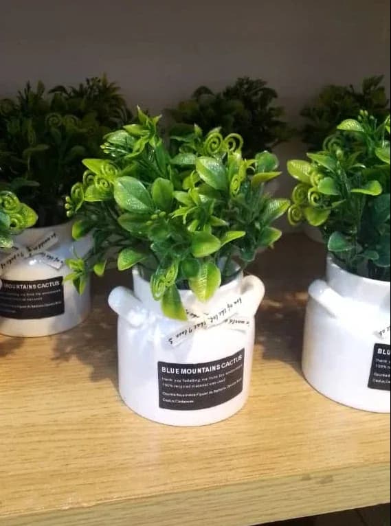 Artificial Succulent Plant in White Ceramic Pot
