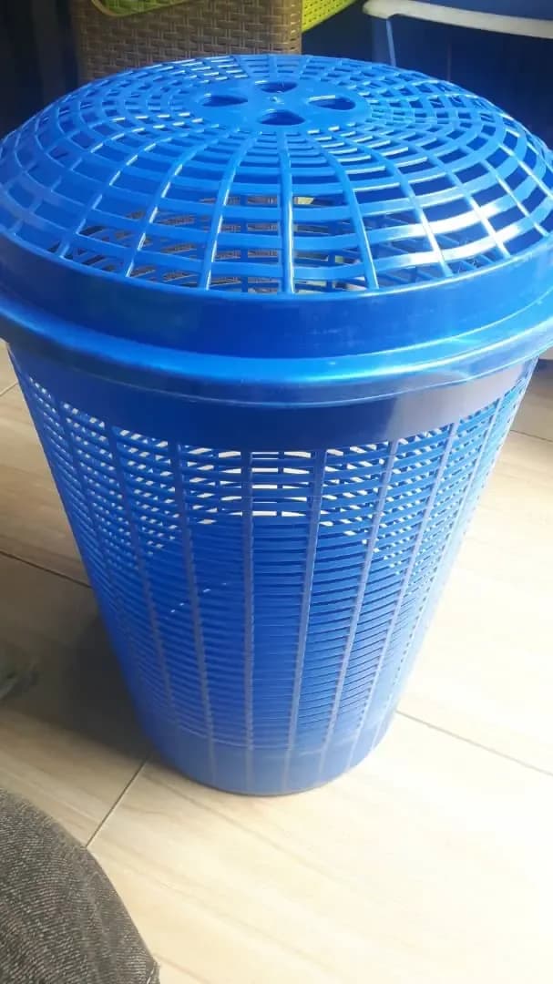 Blue Line Plastic Laundry Basket