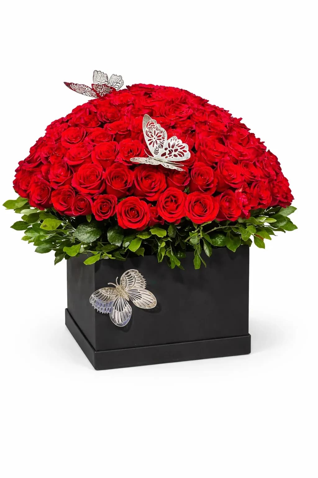 Midnight Ruby Butterfly Box