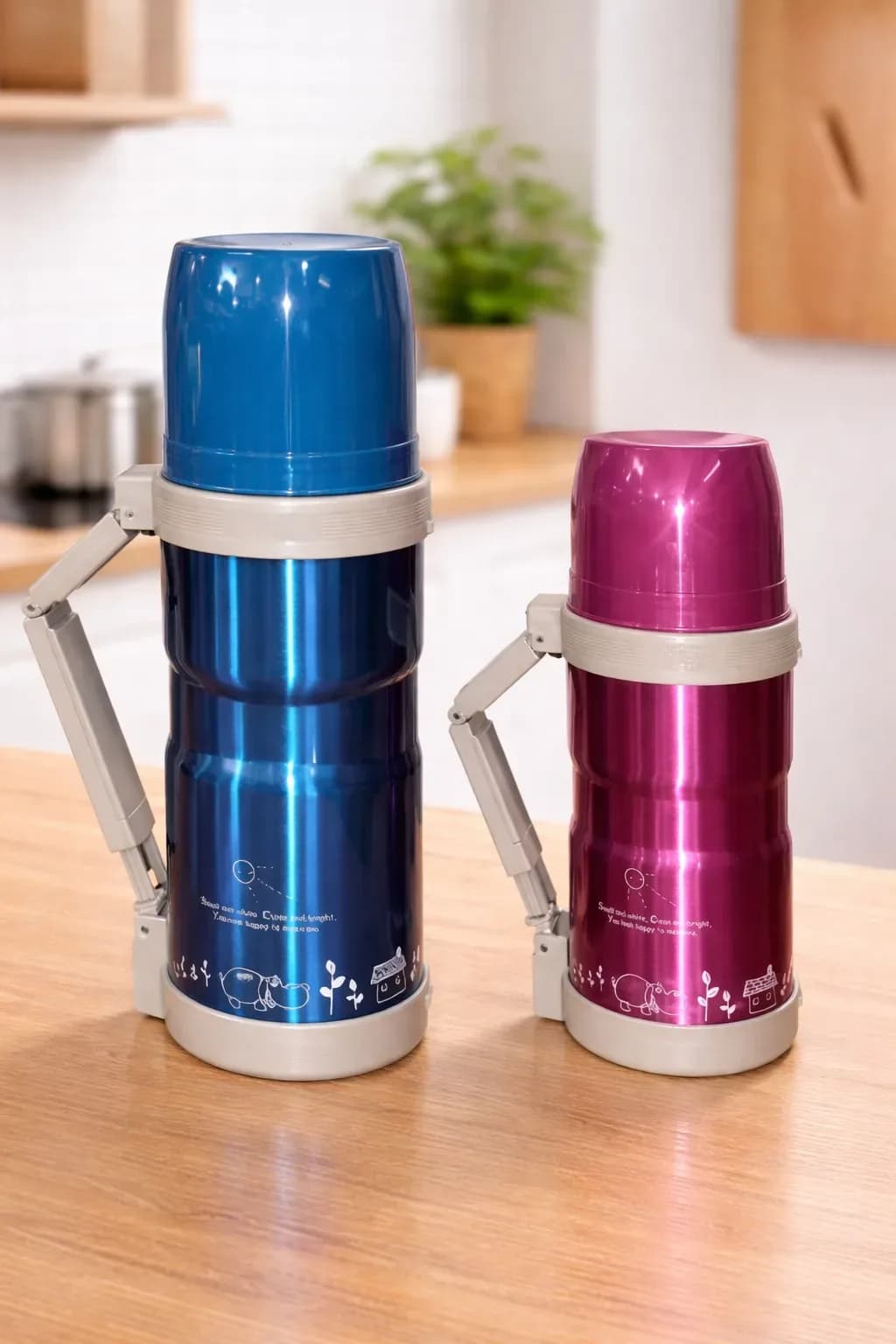 ThermoCarry Stainless Steel Vacuum Flask