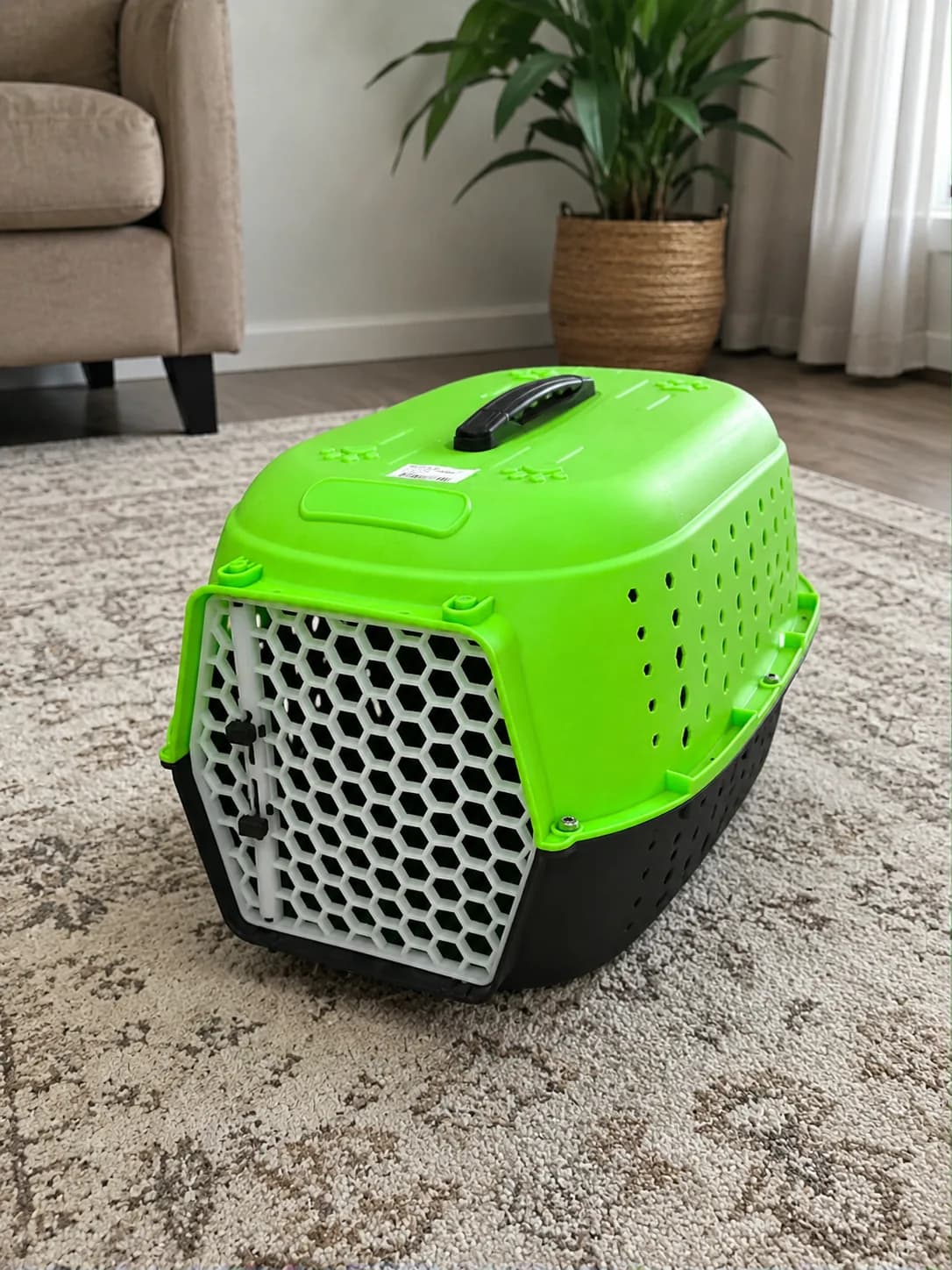 Portable Pet Carrier Travel Crate with Ventilated Door – Green & Black