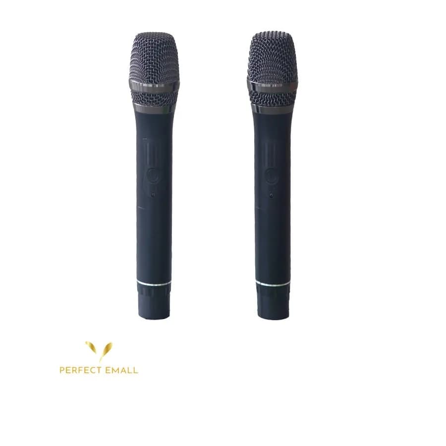 Professional Wireless Microphone SD-33