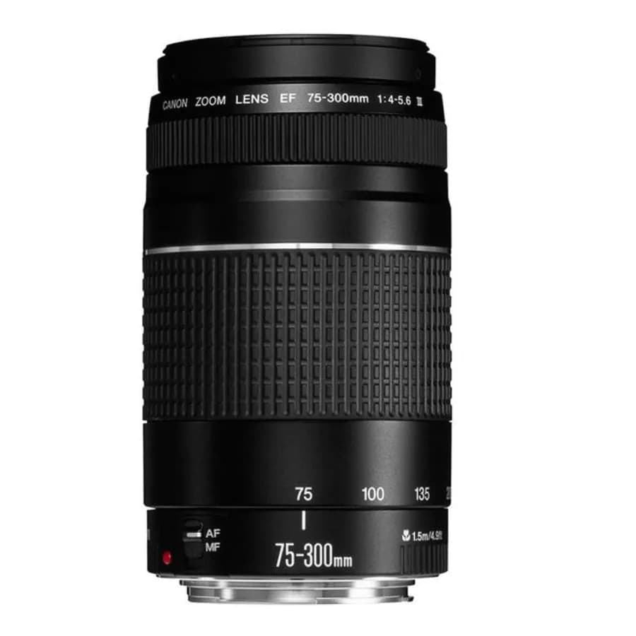 Canon EF 75-300mm f/4-5.6 III Telephoto Zoom Lens