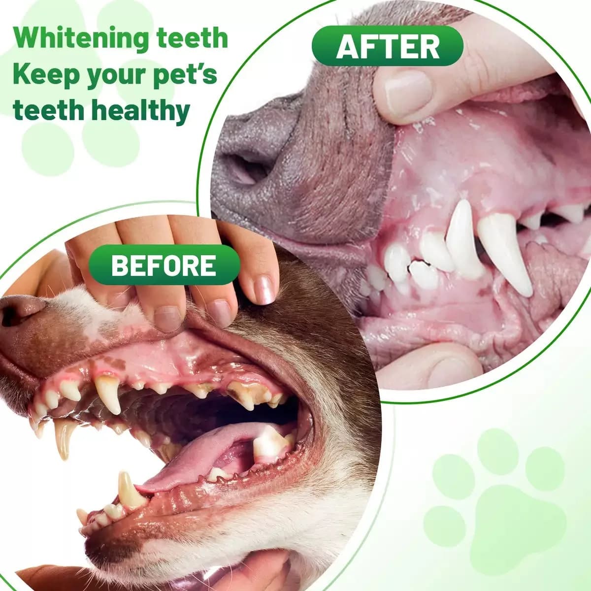 Pet Dental Cleaning Powder
