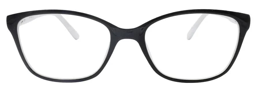 Optica 691