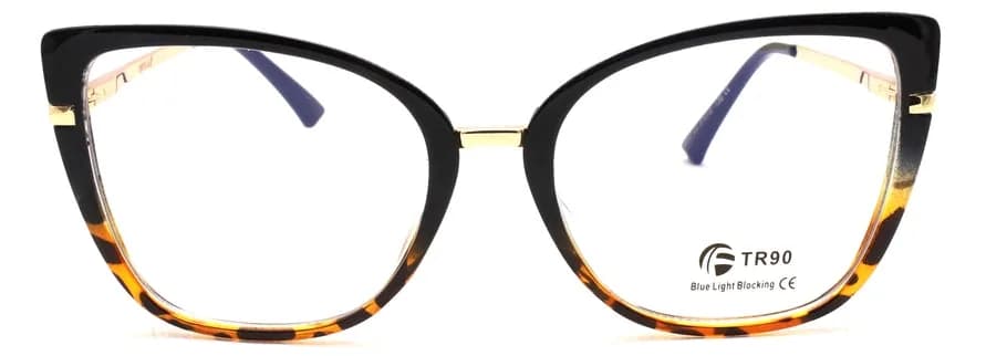 Optica 95317