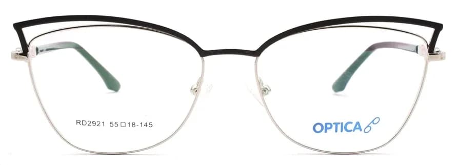 Optica 2921