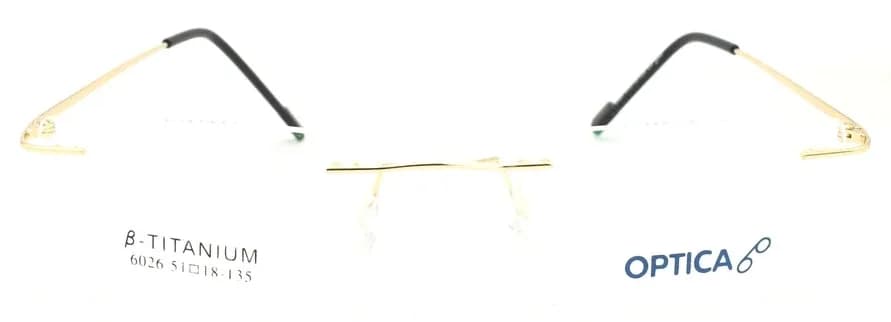 Optica 6026