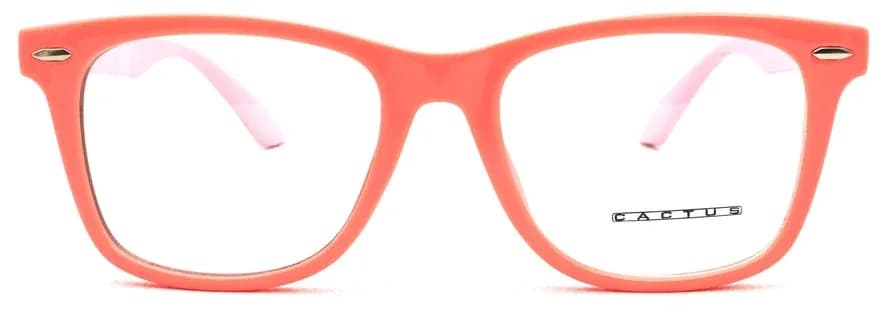 Cactus Kids ZC823