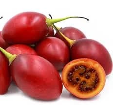 Tree-tomatoes(Ibinyomoro) 1KG