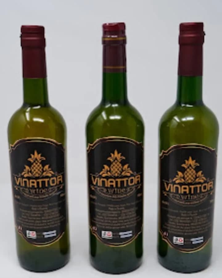 Vinattor pineapples wines