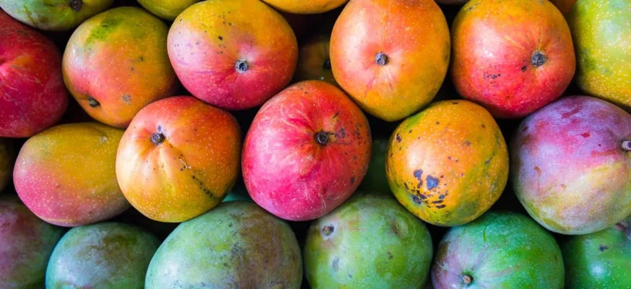 Mangoes(imyembe)1KG