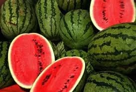 WATER MELLON