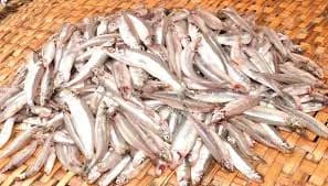 ISAMBAZA 1KG