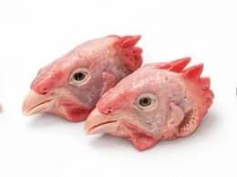 Chicken head