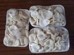 MUSHROOM PACKAGE 500G