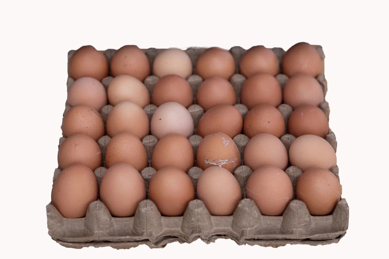 Tray of Eggs