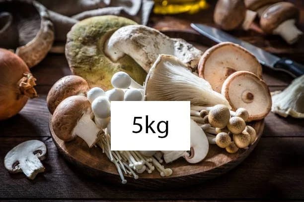 Fresh Organic Mushrooms 5kg