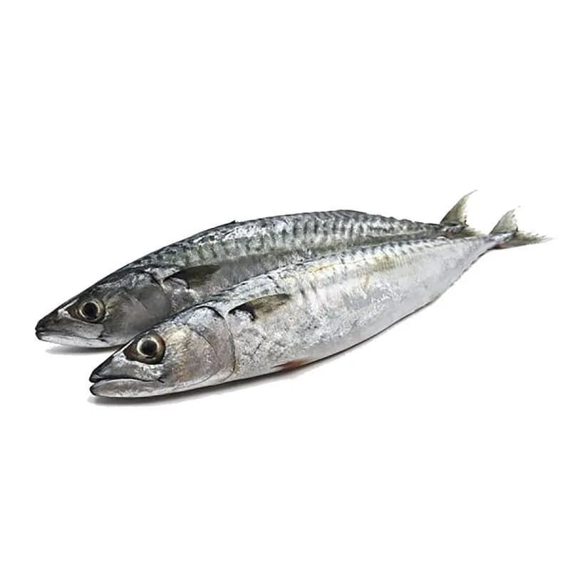 FISH MEAT-TOMSON(1KG)