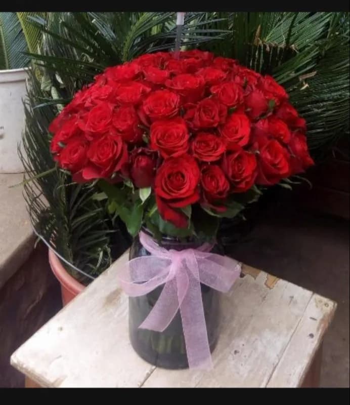 Roses in a vase