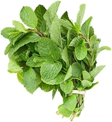 Mint (bunch)