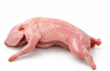 Whole rabbit