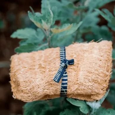 Organic Loofahs