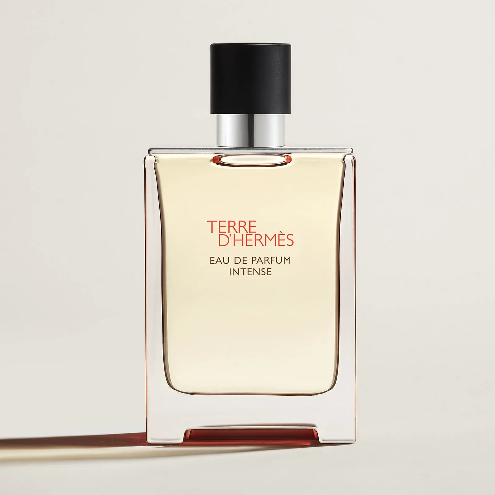 Terre D'hermes Eau De Parfum Intense