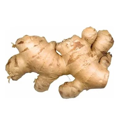 Simba Ginger
