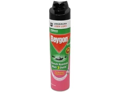 Baygon Intsecticide 600ml