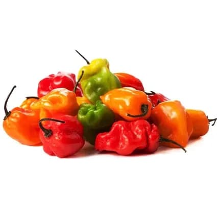 Chili Pepper