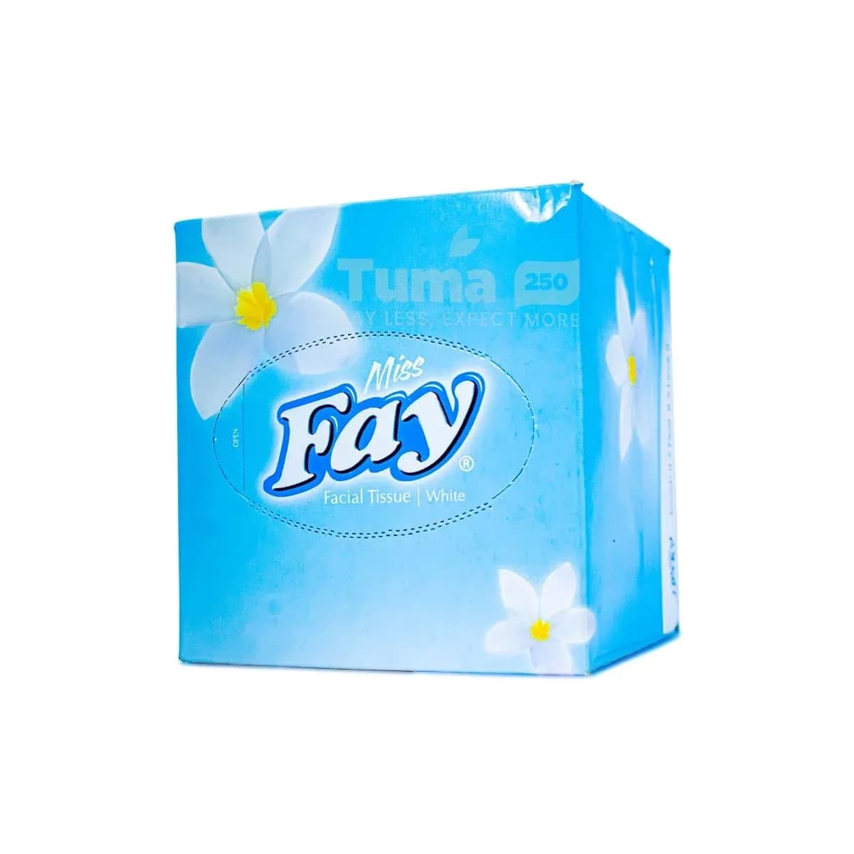 FAY Facial Tissues White- 2Ply