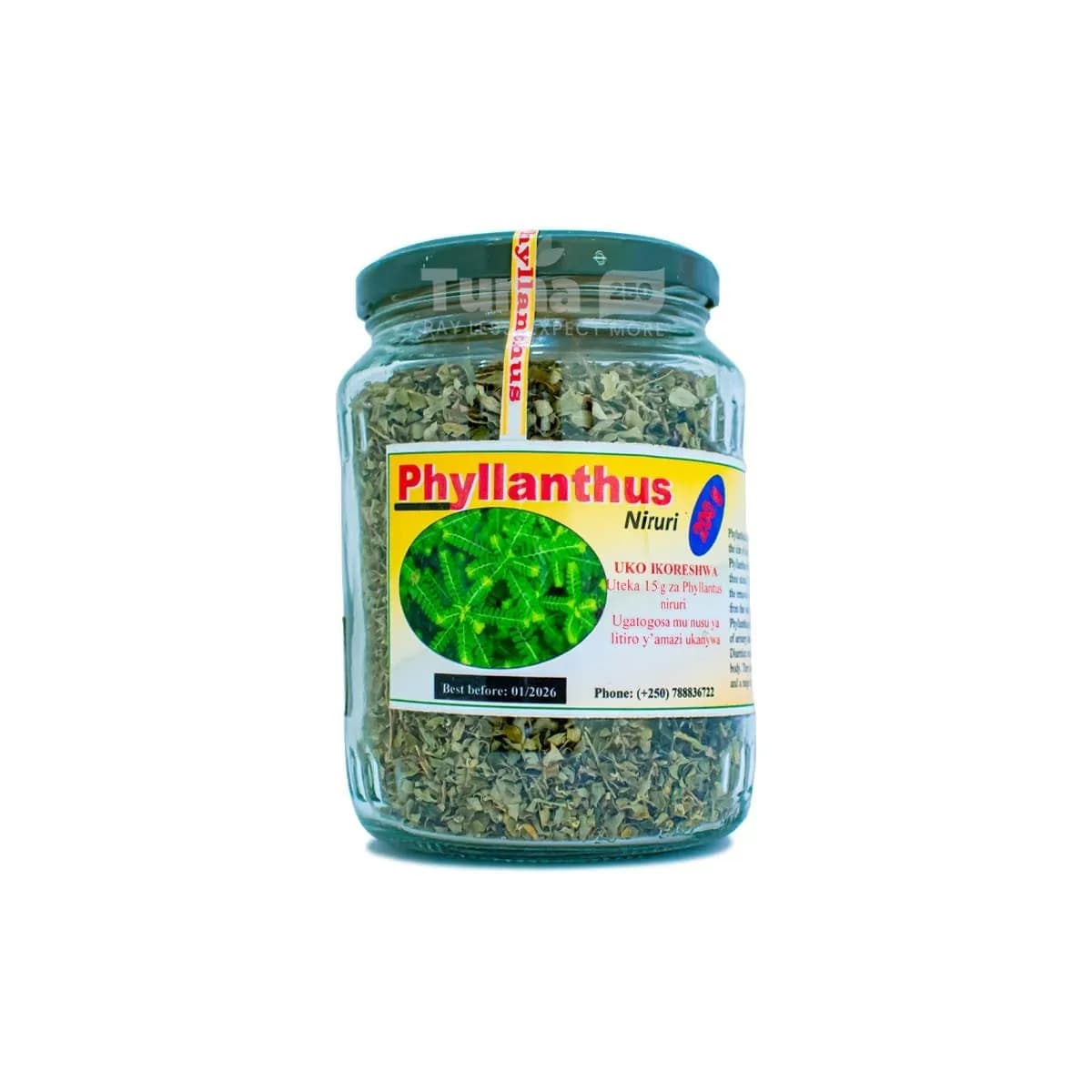 Phyllanthus Niruri In Glass Jar (Chanca Piedra) – 200g