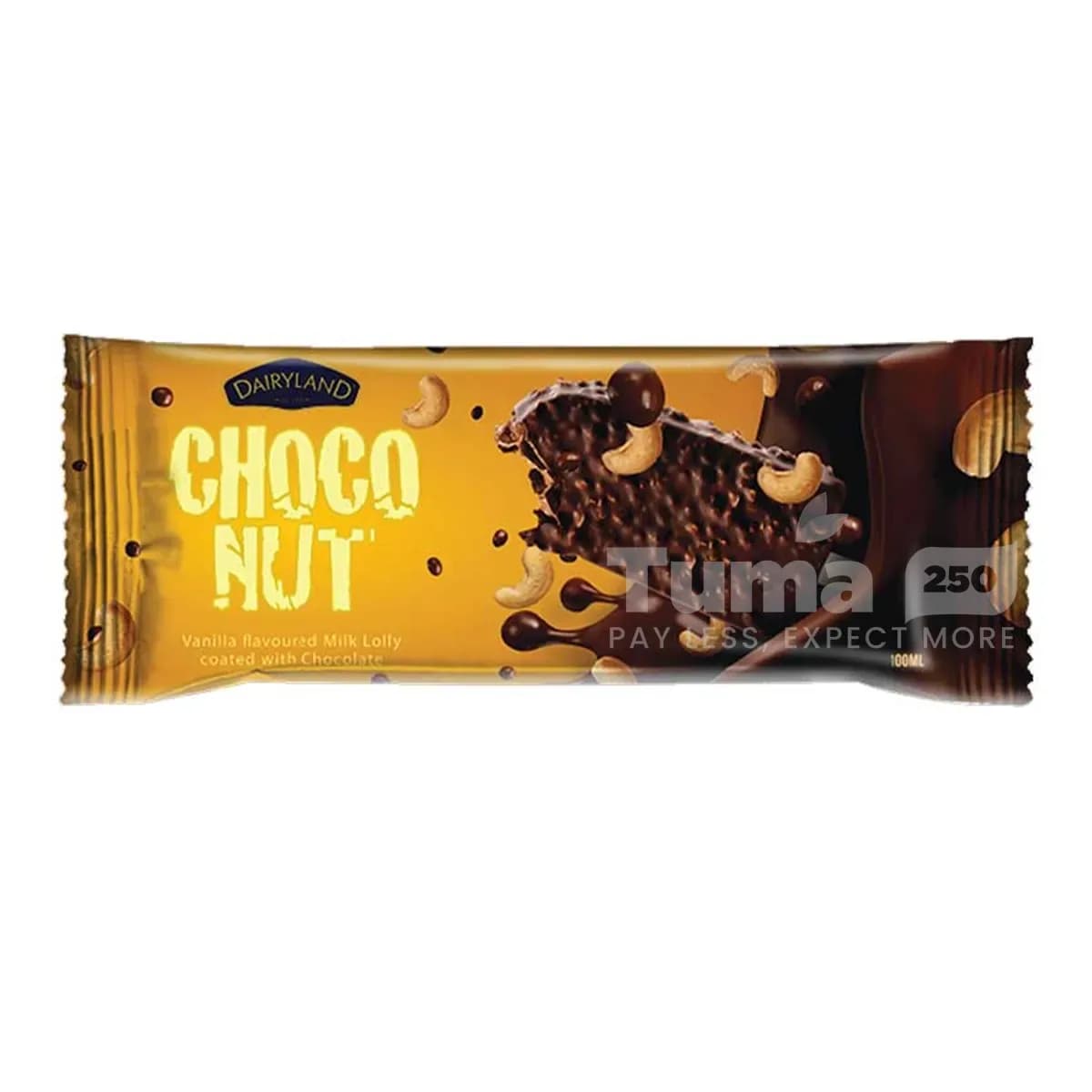 Dairyland Choconut Ice Cream-70ml