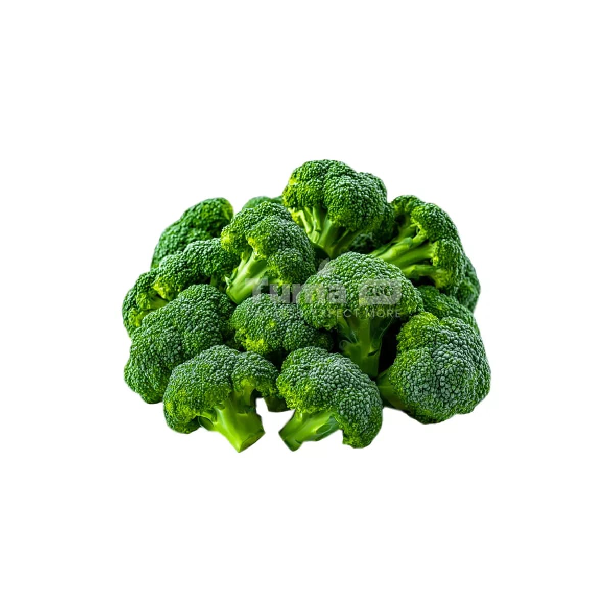 Chopped Broccoli (Broccoli Zikase) – Pc