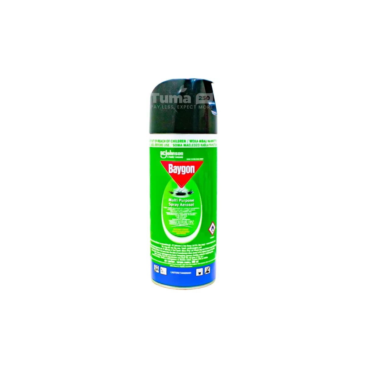 Baygon Multi Purpose Spray Aerosol 300ml