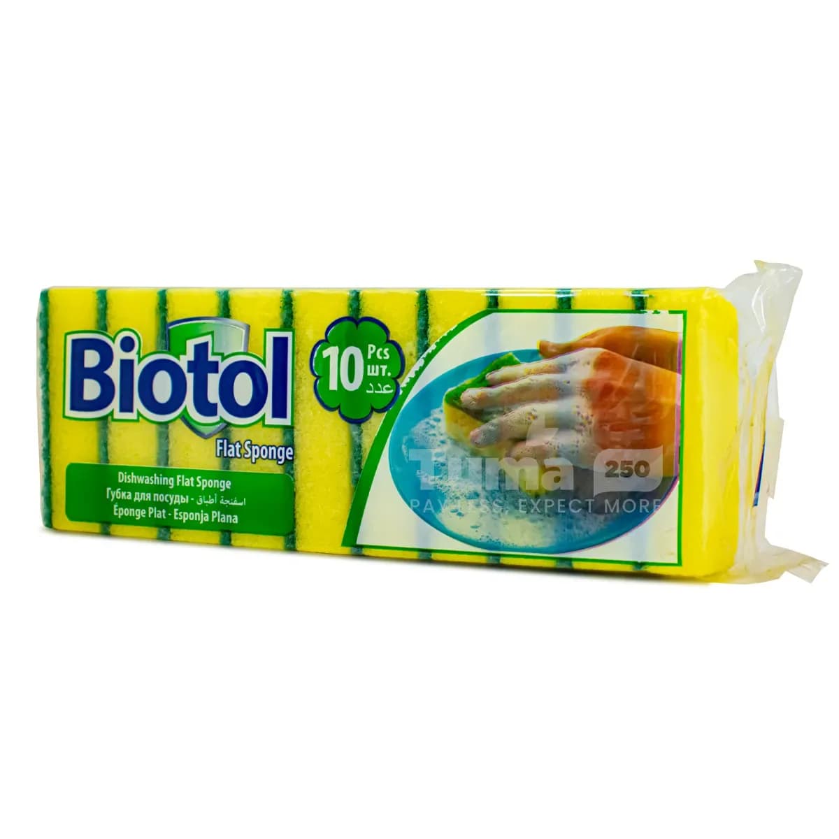 Biotol Dishwashing Sponge