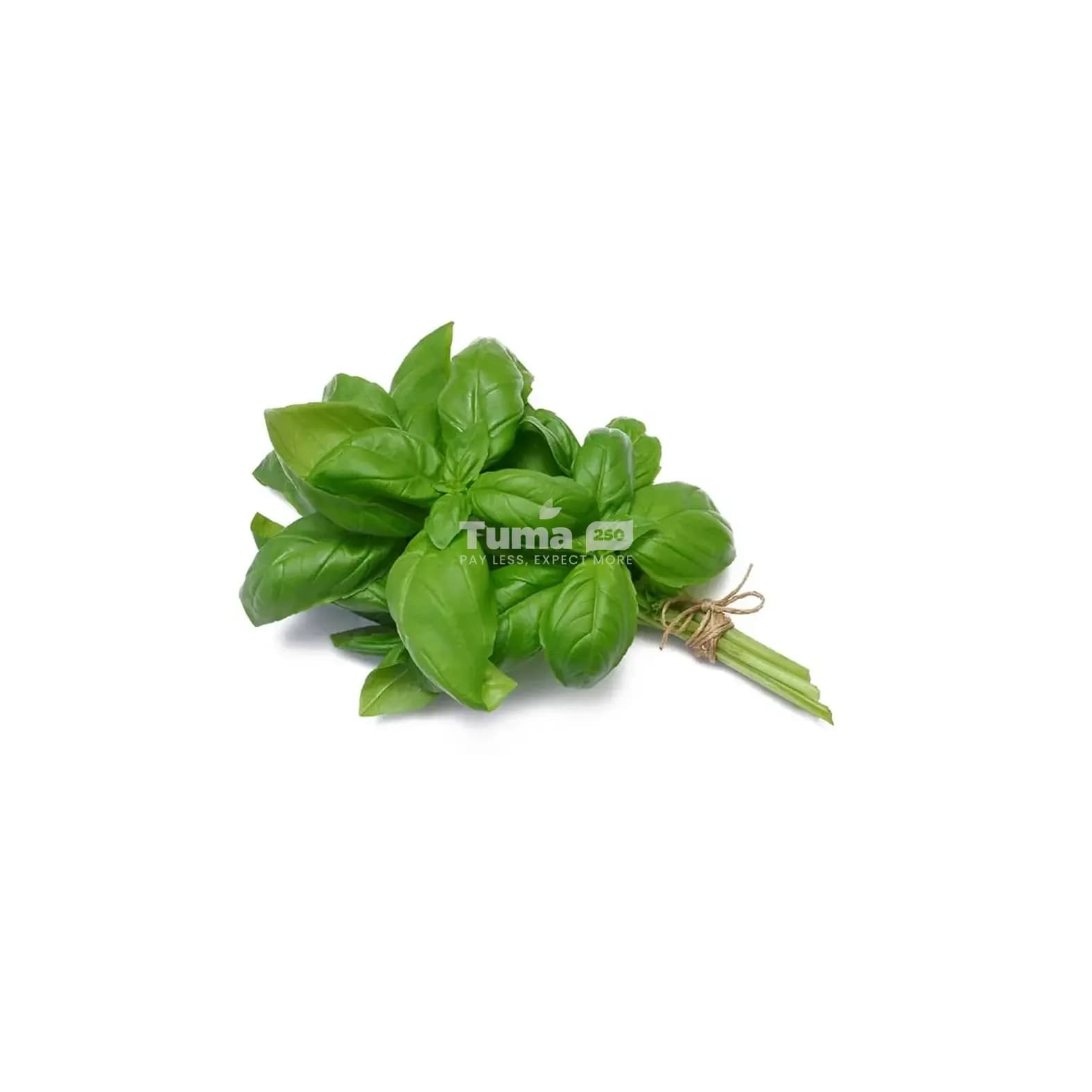 Basil-Basilic – 250g