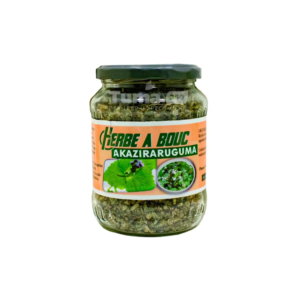 Herbe A Bouc/ Akaziraruguma In Glass Jar