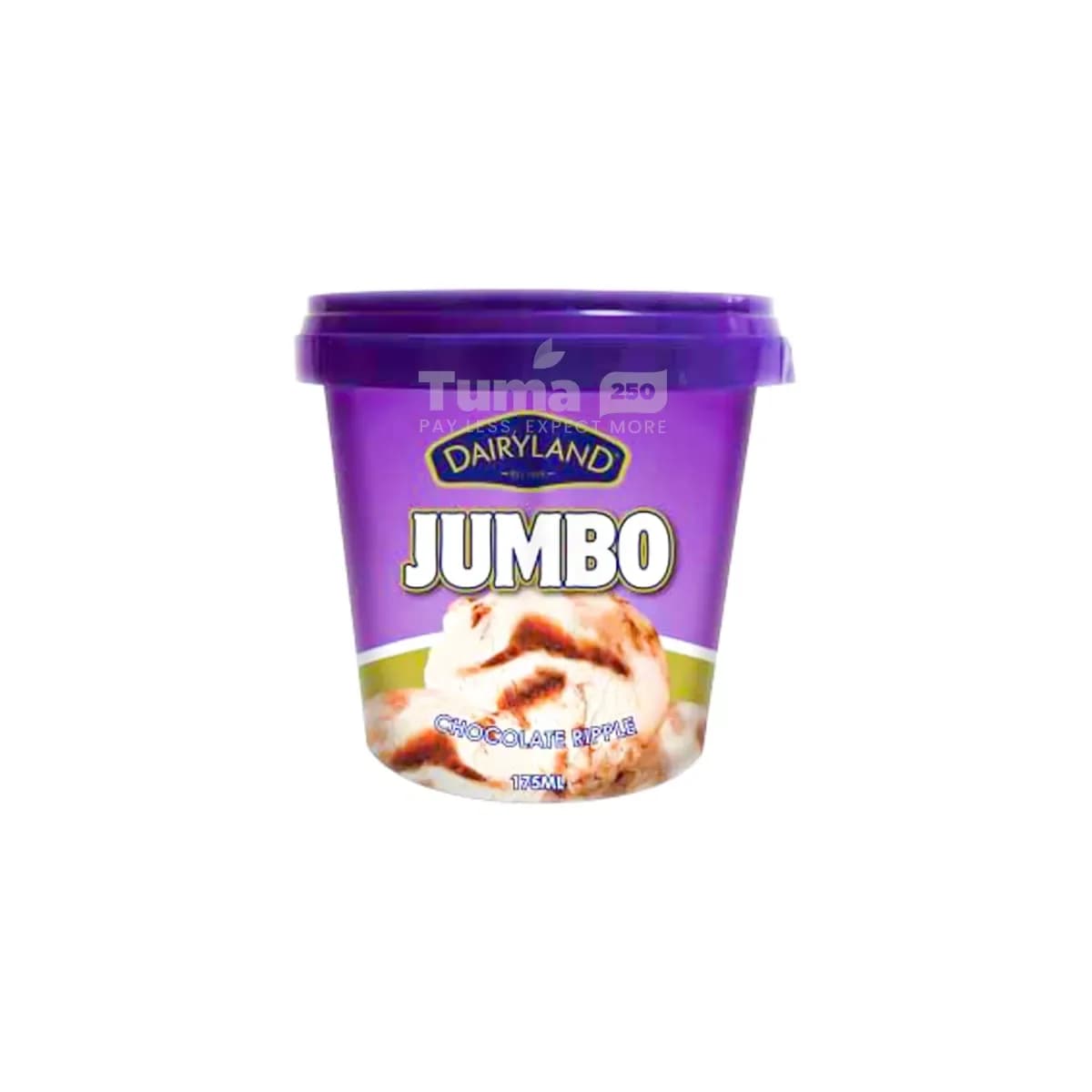 Dairyland Jumbo Chocolate Ripple Ice Cream 175ml