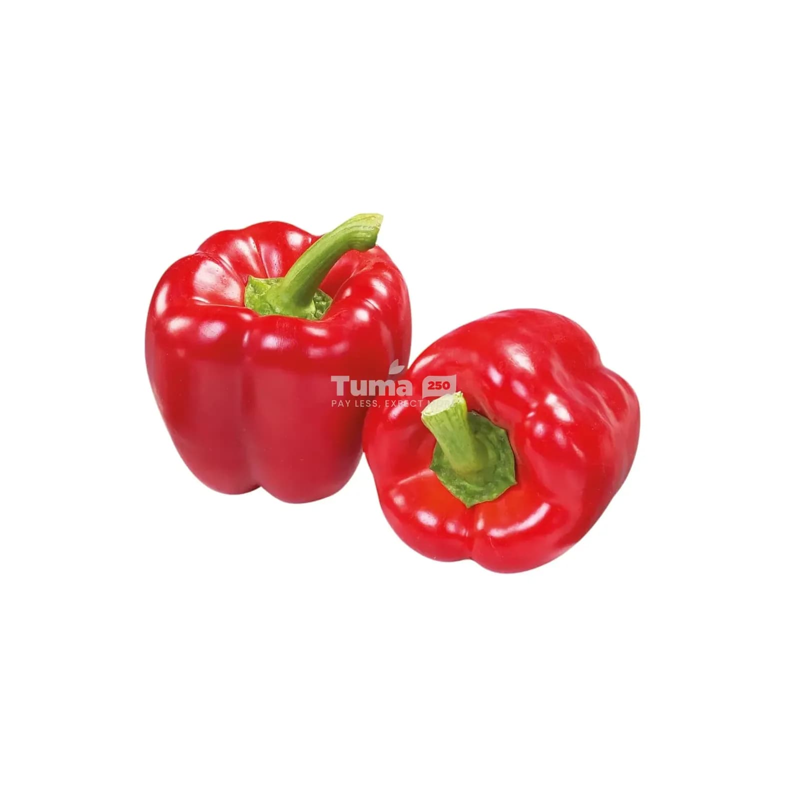 Red Bell Pepper/ Poivron Rouge