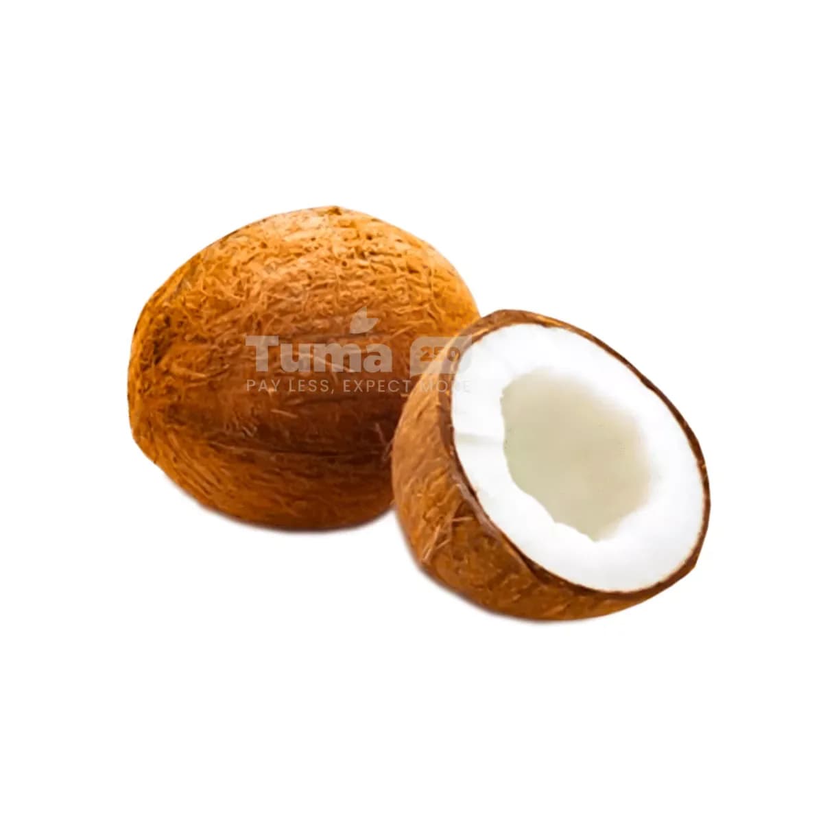 Coconut Fruit/pc